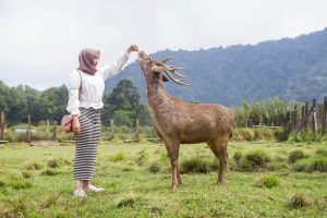 7 Destinasi Wisata Bandung Terbaik untuk Lansia dan Keluarga