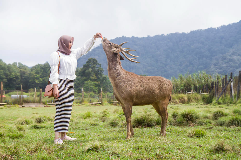 7 Destinasi Wisata Bandung Terbaik untuk Lansia dan Keluarga 9 7 Destinasi Wisata Bandung Terbaik untuk Lansia dan Keluarga
