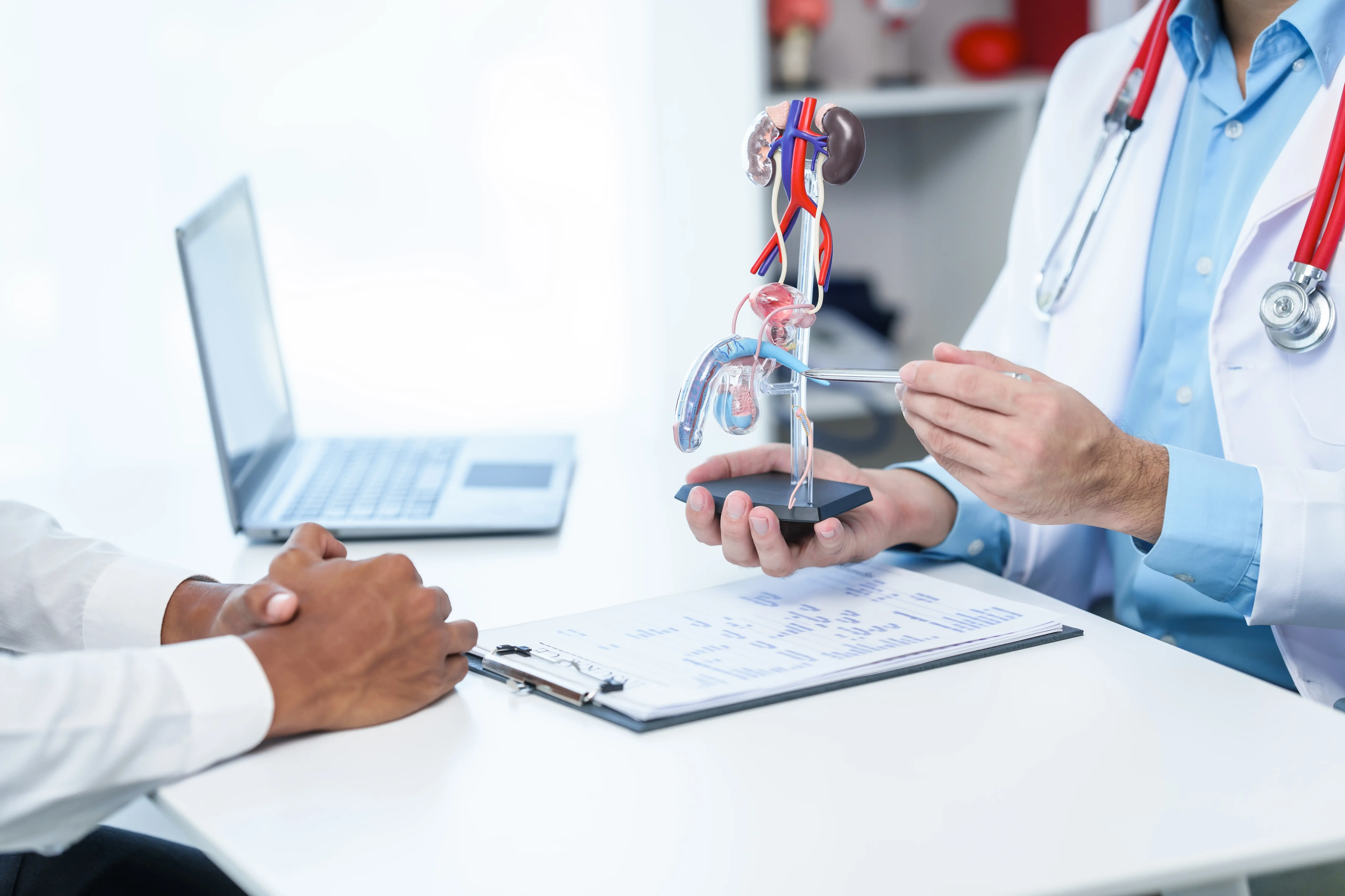 Penyebab dan Gejala Infeksi Saluran Kemih pada Pria 1 Penyebab dan Gejala Infeksi Saluran Kemih pada Pria