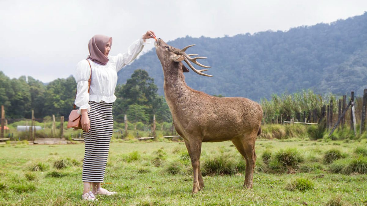 7 Destinasi Wisata Bandung Terbaik untuk Lansia dan Keluarga